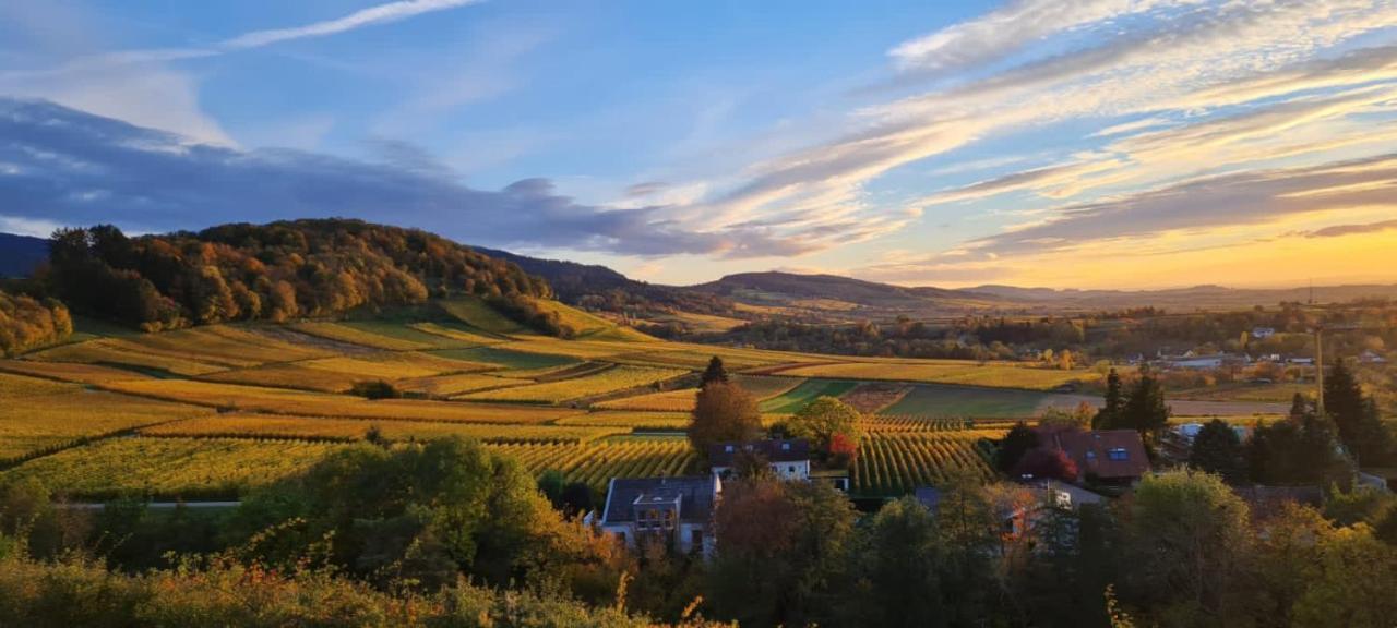 Paradies 2 Castellberg-Jakobsweg Döttingen Eksteriør bilde