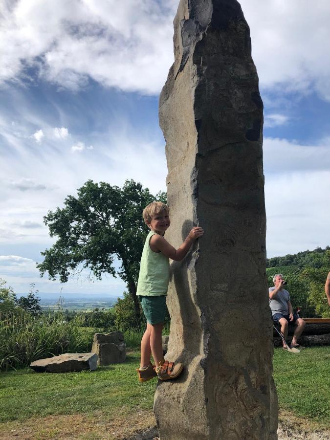Paradies 2 Castellberg-Jakobsweg Döttingen Eksteriør bilde
